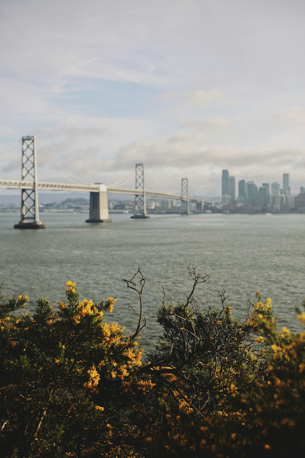 golden gate bridge san francisco