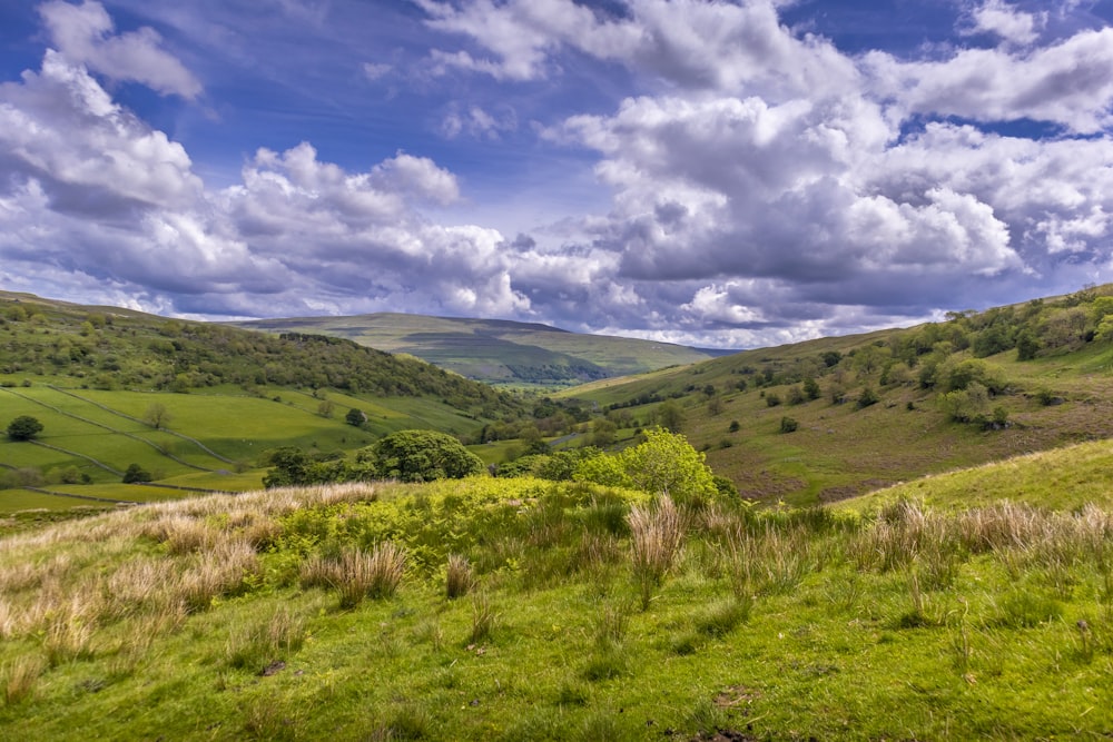 green grass field under blue sky and white clouds during daytime