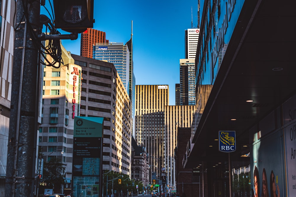 city buildings under blue sky during night time