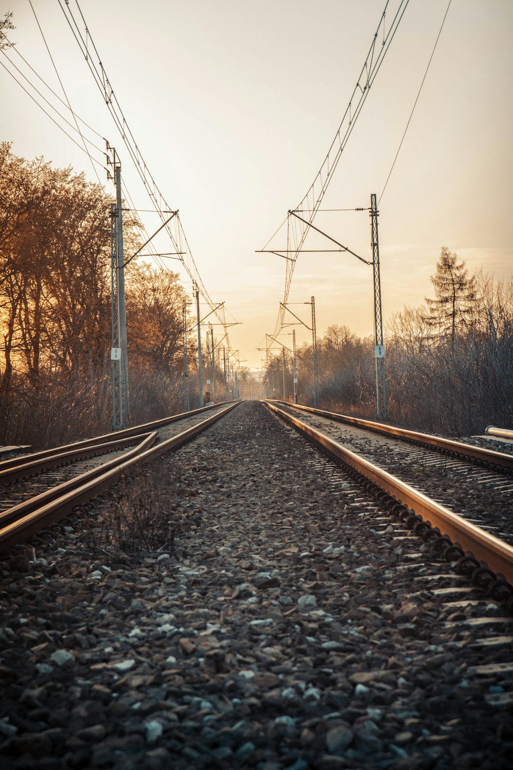 train rail near bare trees during daytime