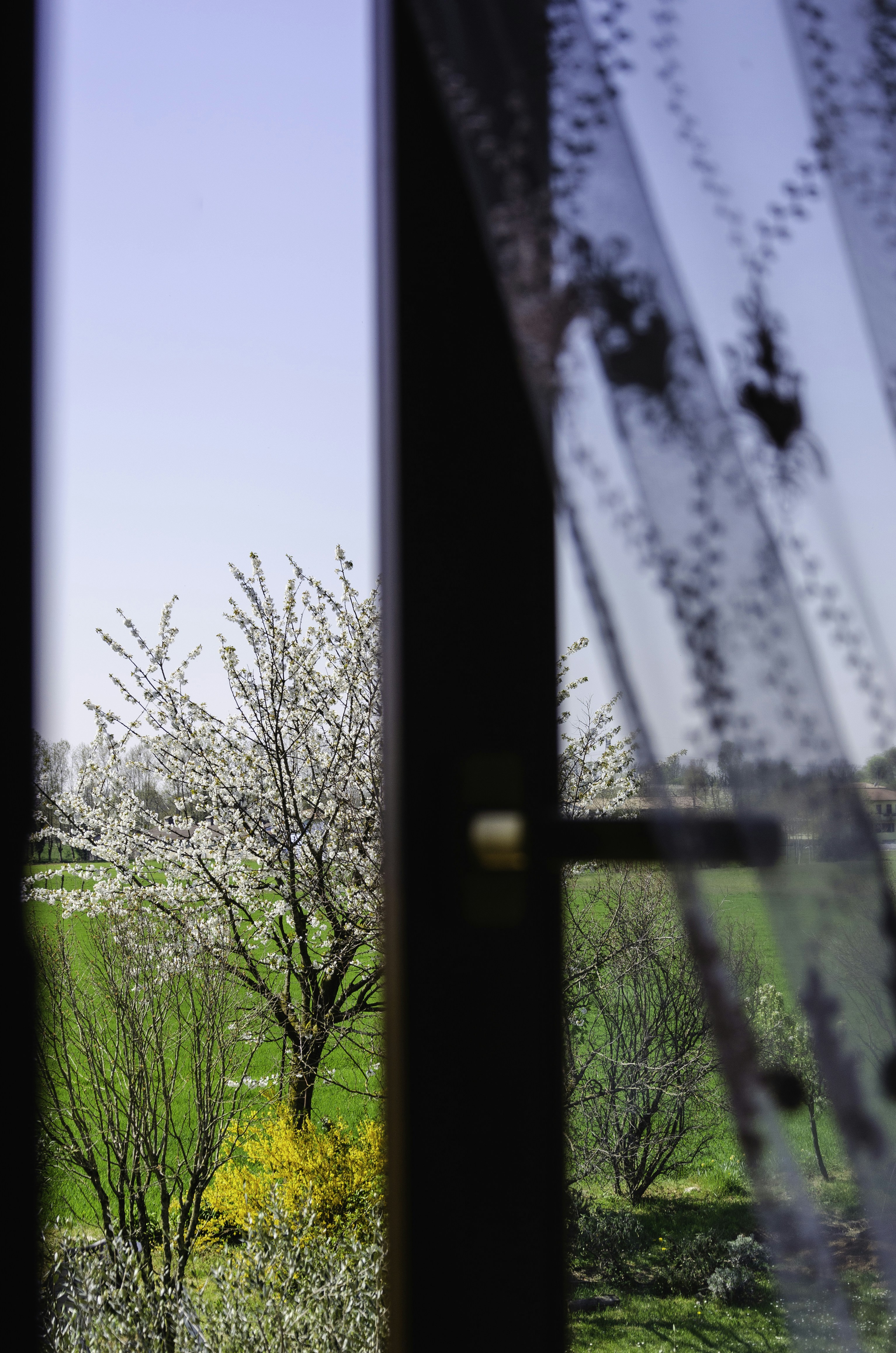 green trees under blue sky during daytime