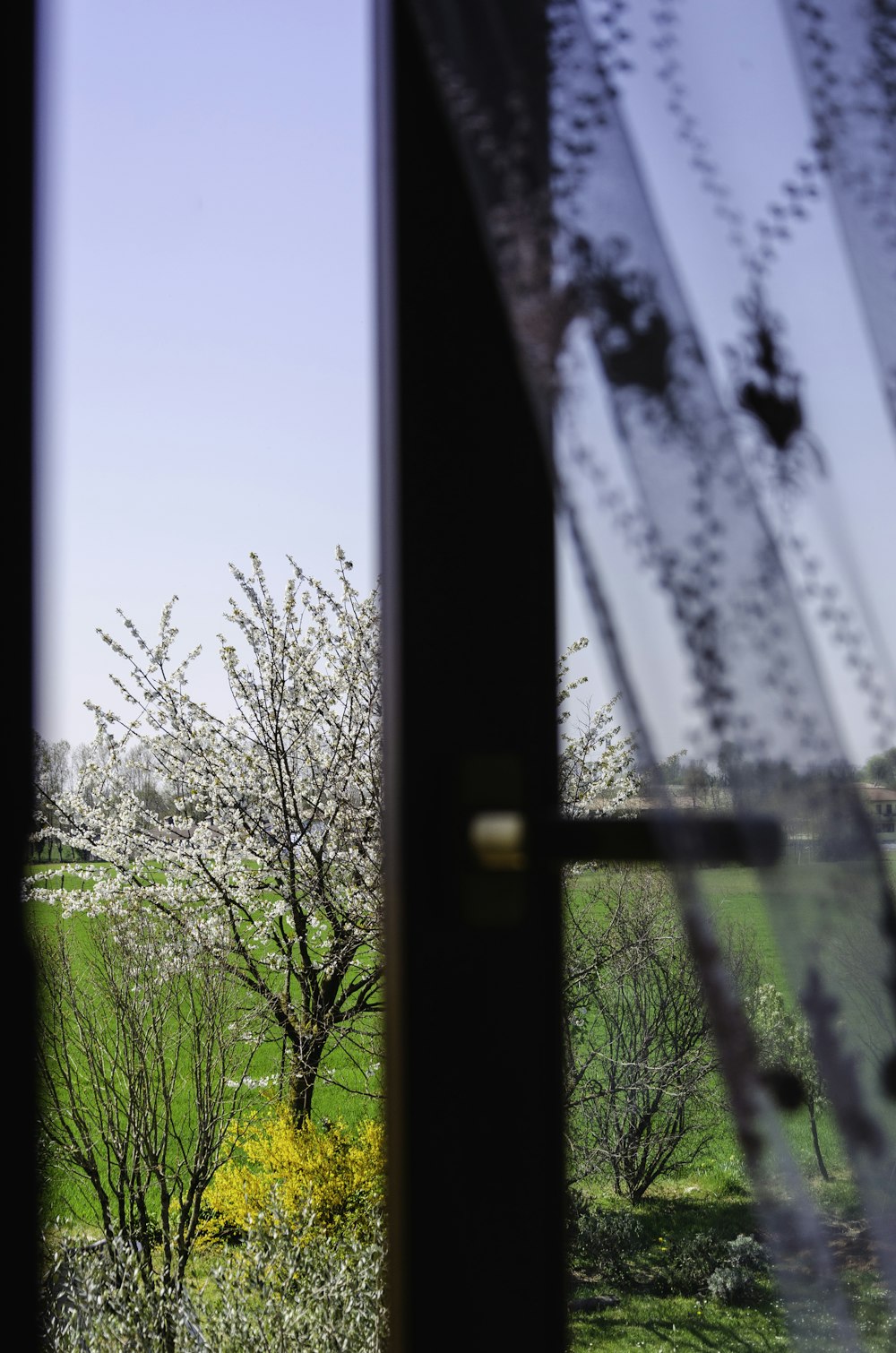 Grüne Bäume unter blauem Himmel tagsüber