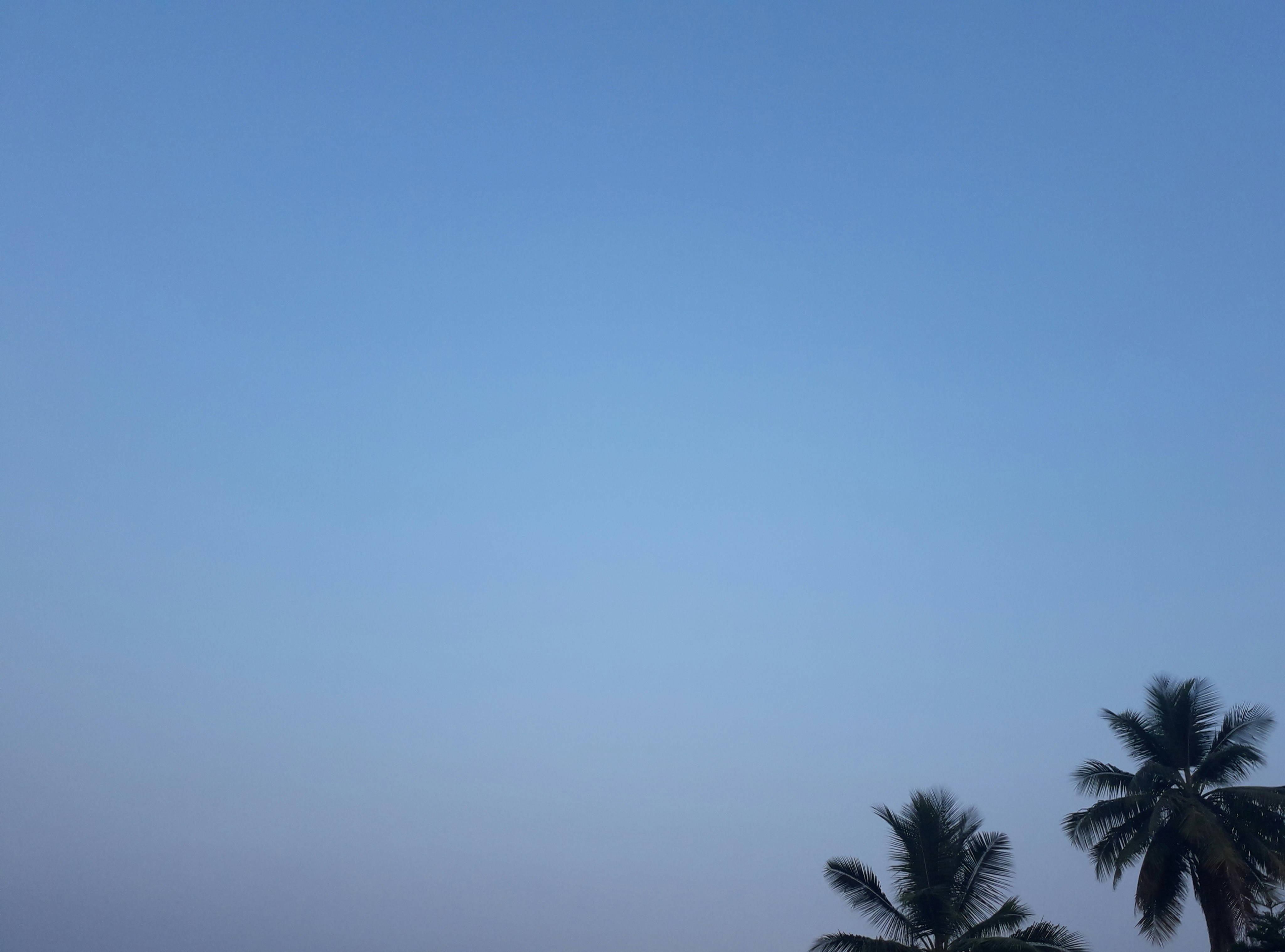 Photo by madhuspot