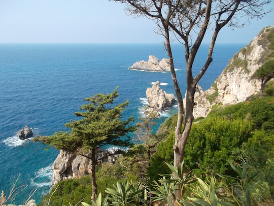 green trees on rocky mountain beside blue sea during daytime in Corfu, Skeloudi Rock Greece