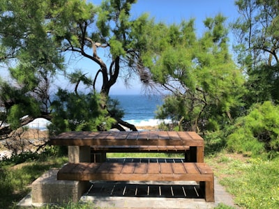 brown wooden bench near body of water during daytime