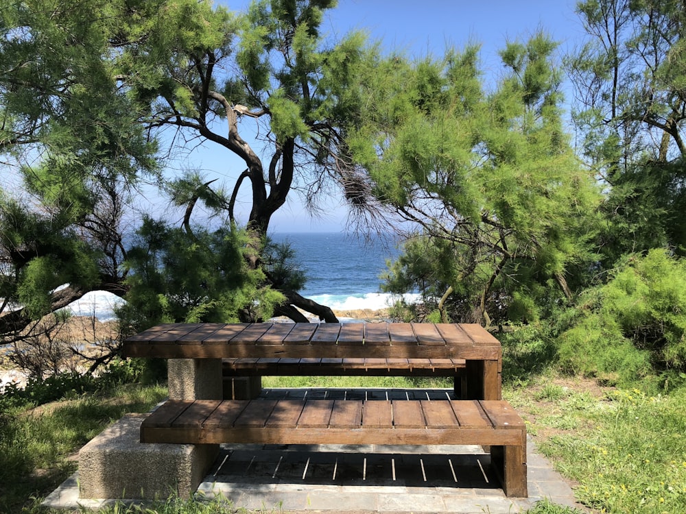 brown wooden bench near body of water during daytime