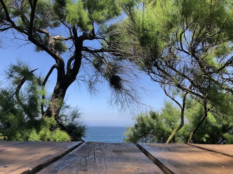 A serene sea view with a wooden walnut table in the foreground.