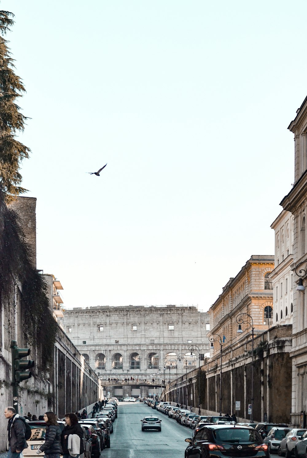 black bird flying over the building during daytime