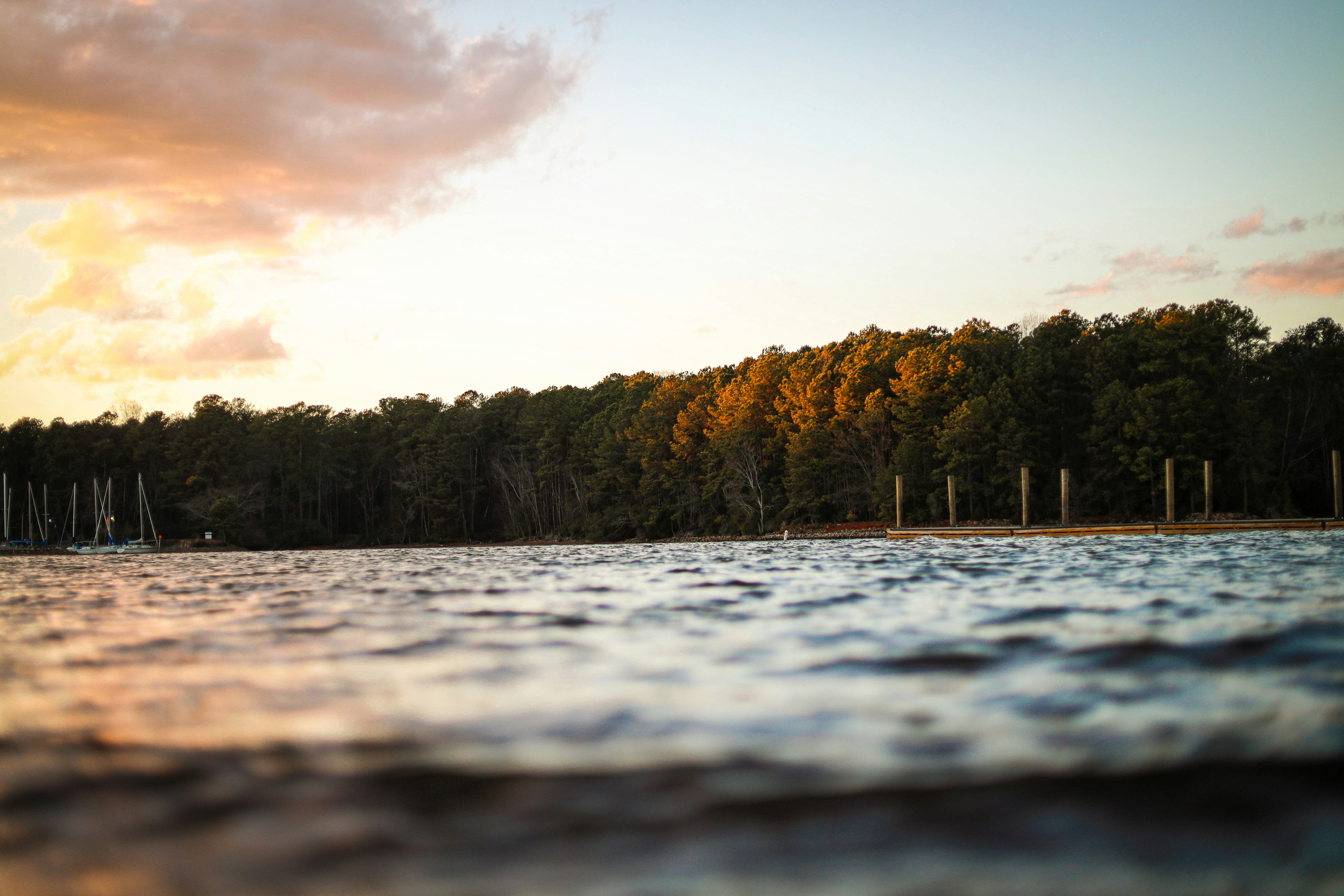 Photo by kirbyleefortenberry