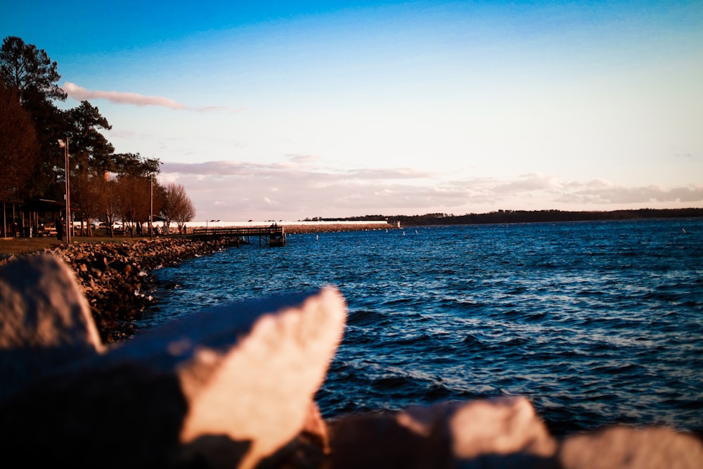 body of water under blue sky during daytime