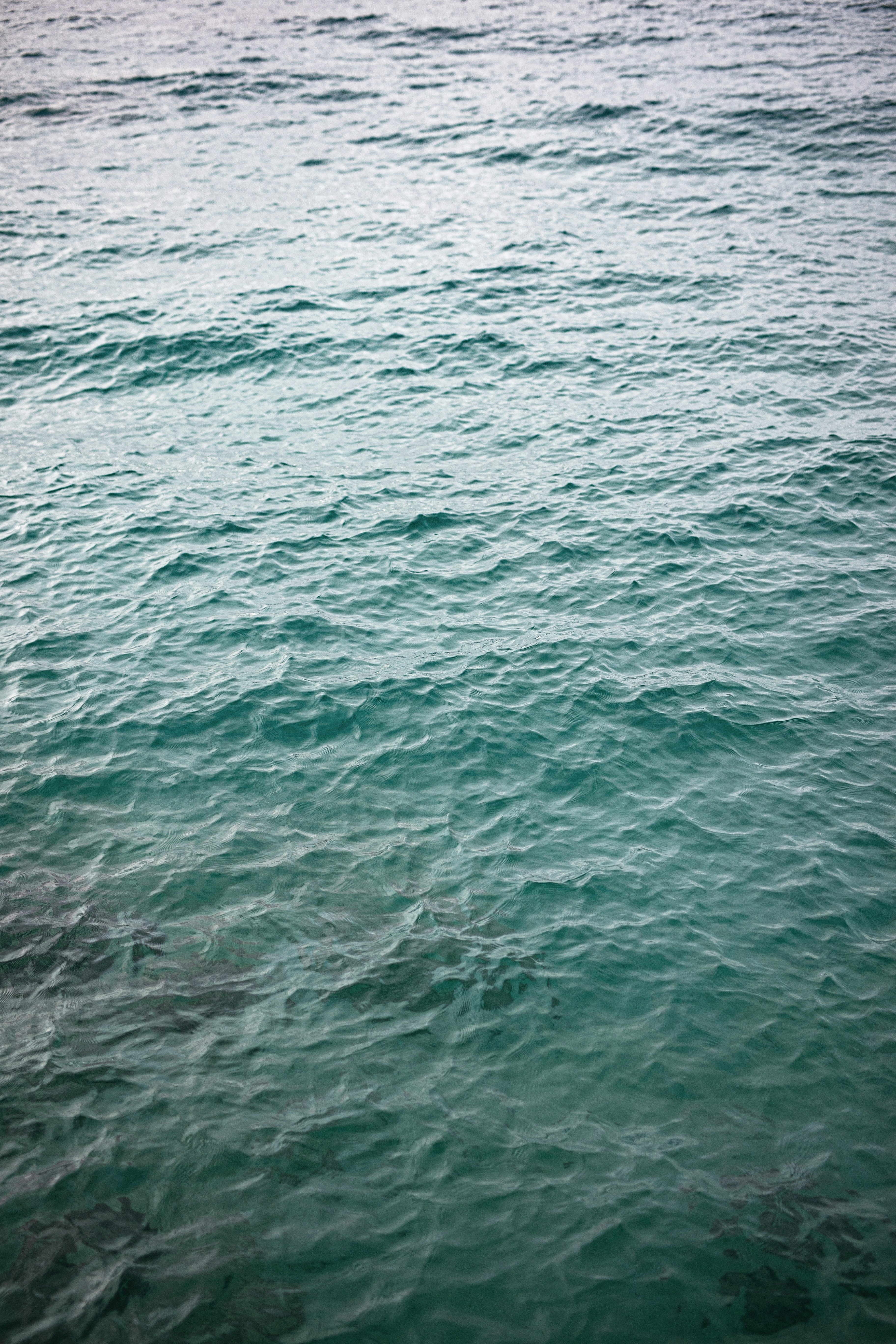 Photo by vinomamba24