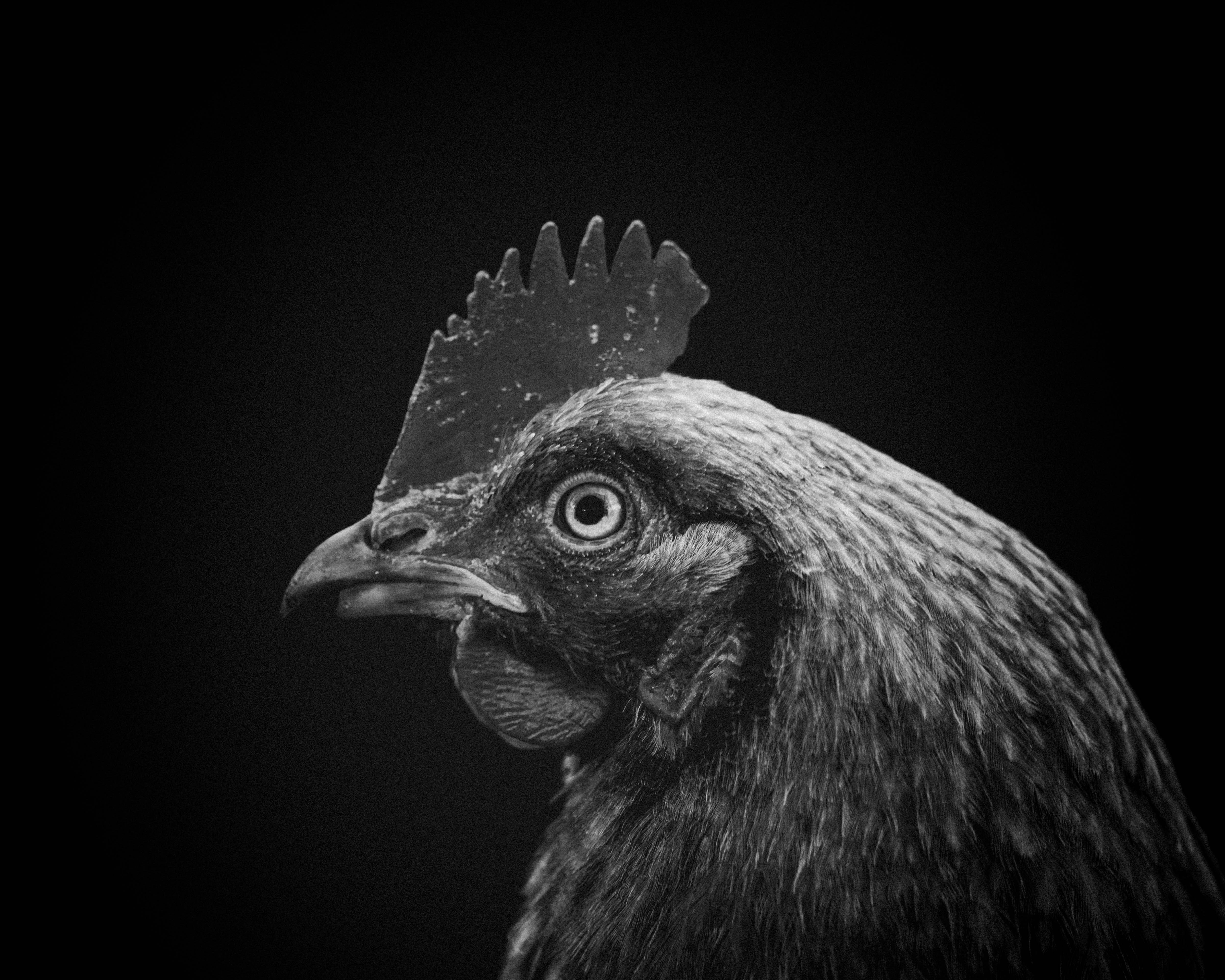 photo-1586439962386-b955a873e20e?ixid=M3