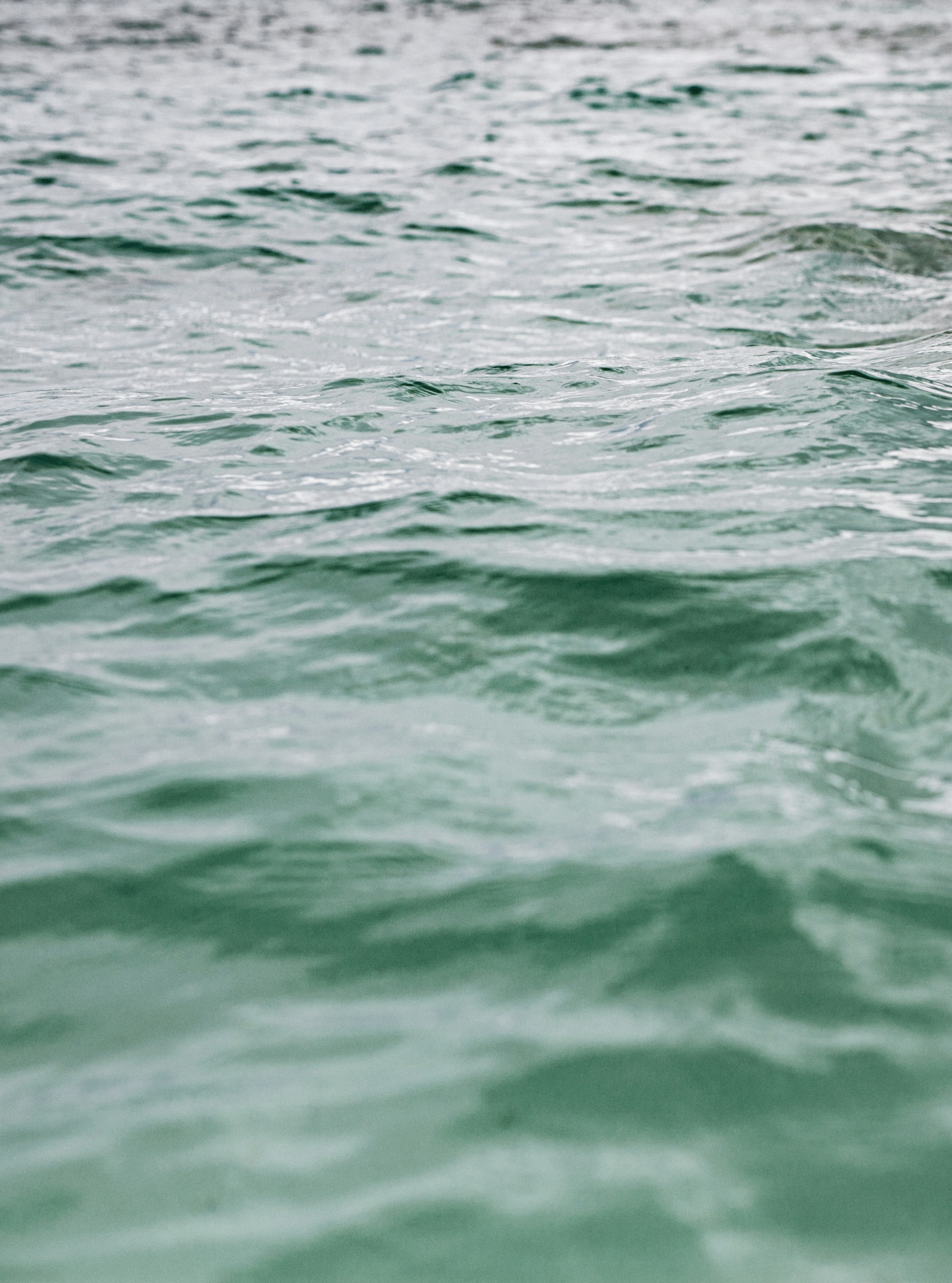 Photo by vinomamba24