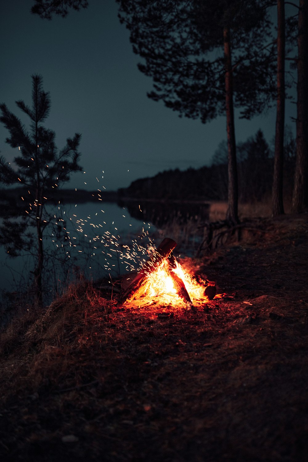 夜間の湖畔での焚き火