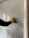 A person wearing a yellow glove is cleaning a white shutter with a green cloth. The shutter has horizontal slats and some light peeks through.