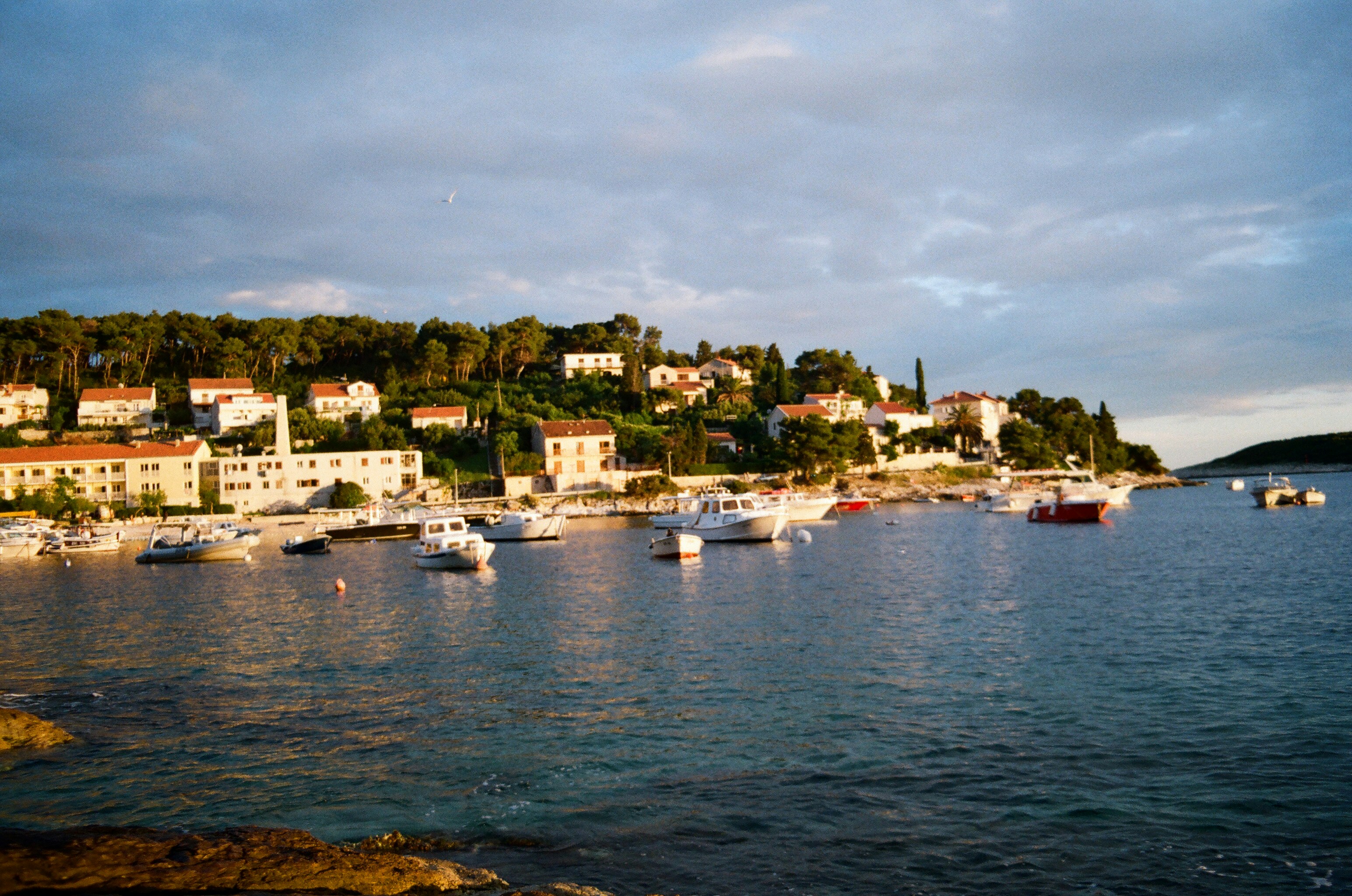 Photo by babikacharava