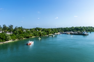 white and red boat on sea during daytime