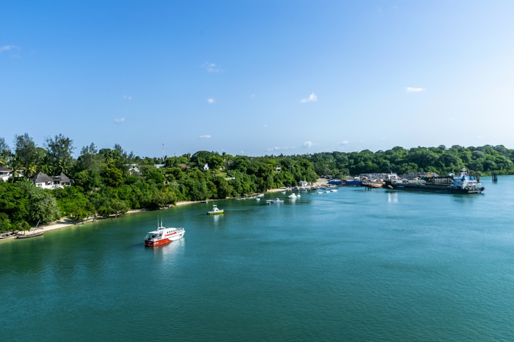 white and red boat on sea during daytime