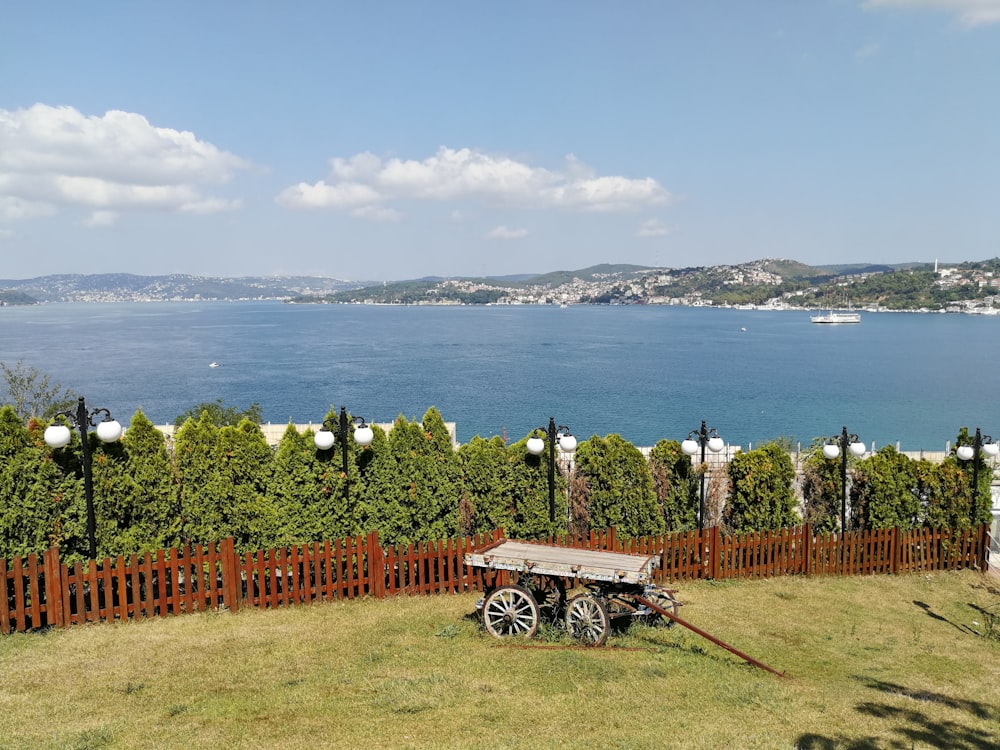 black and white horse carriage on green grass field near body of water during daytime