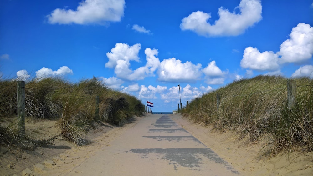 gray concrete road between green grass under blue sky and white clouds during daytime