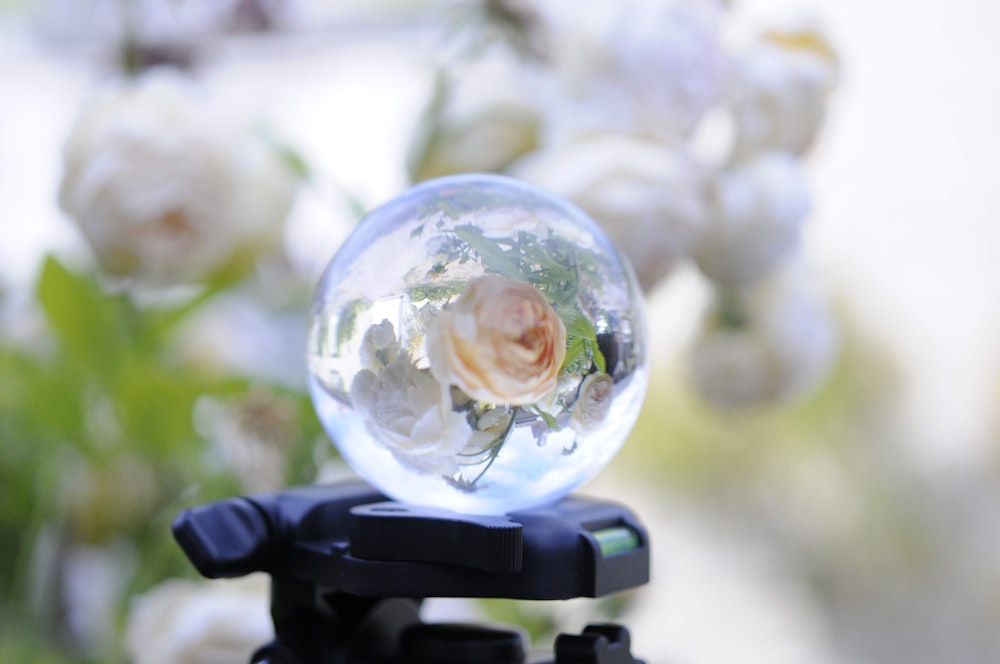 selective focus photography of clear glass ball