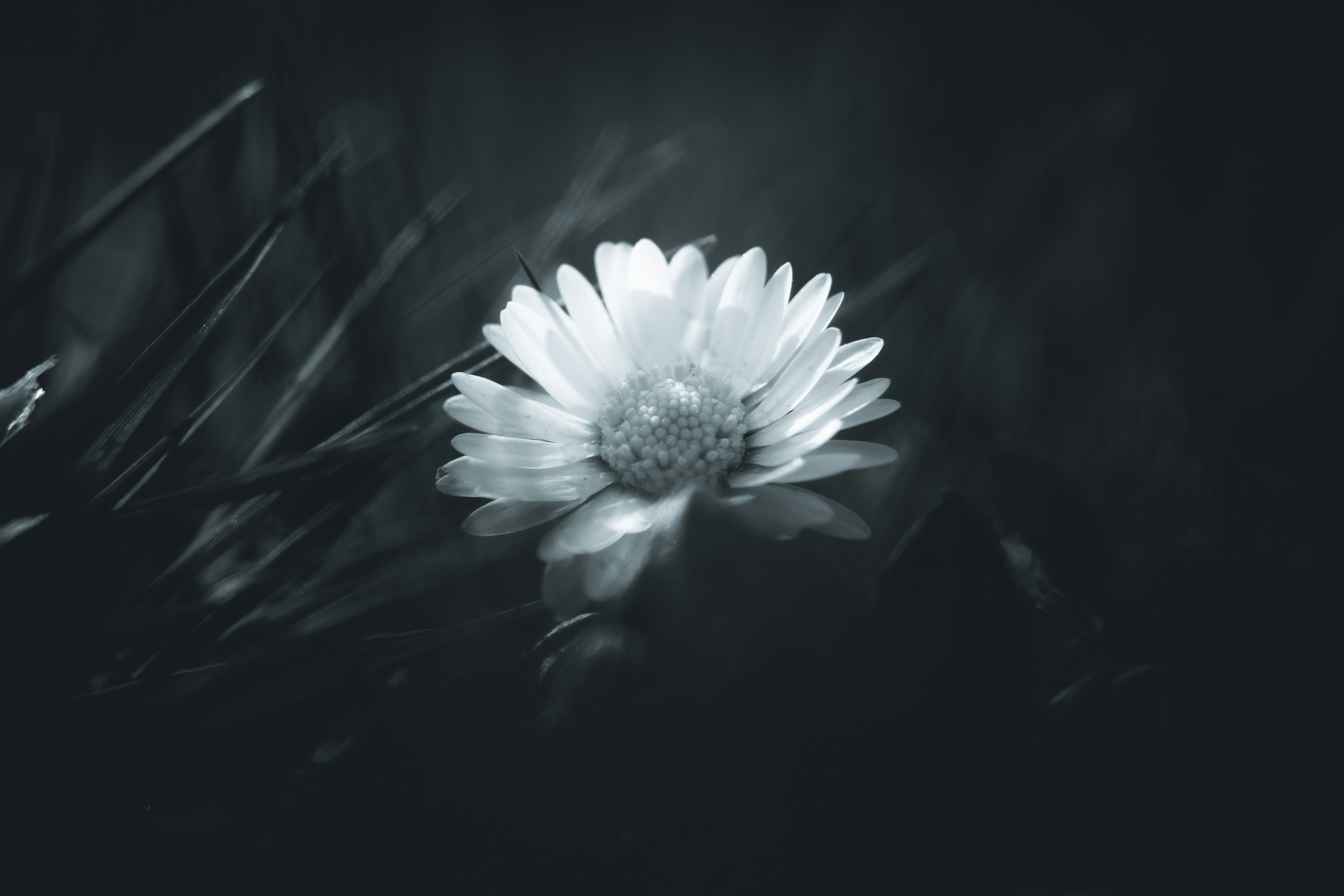 Photo by kevinmueller