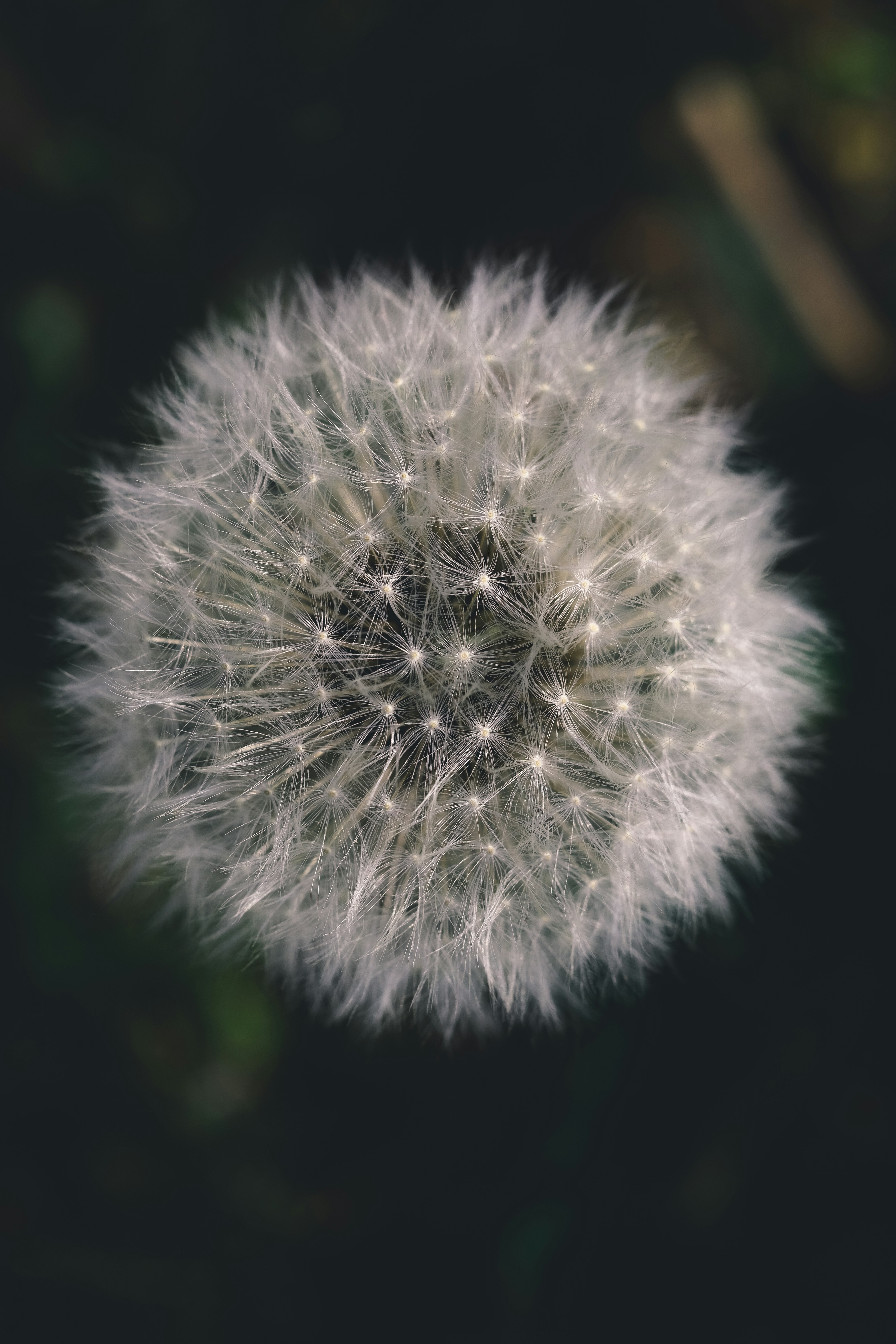 Photo by kevinmueller