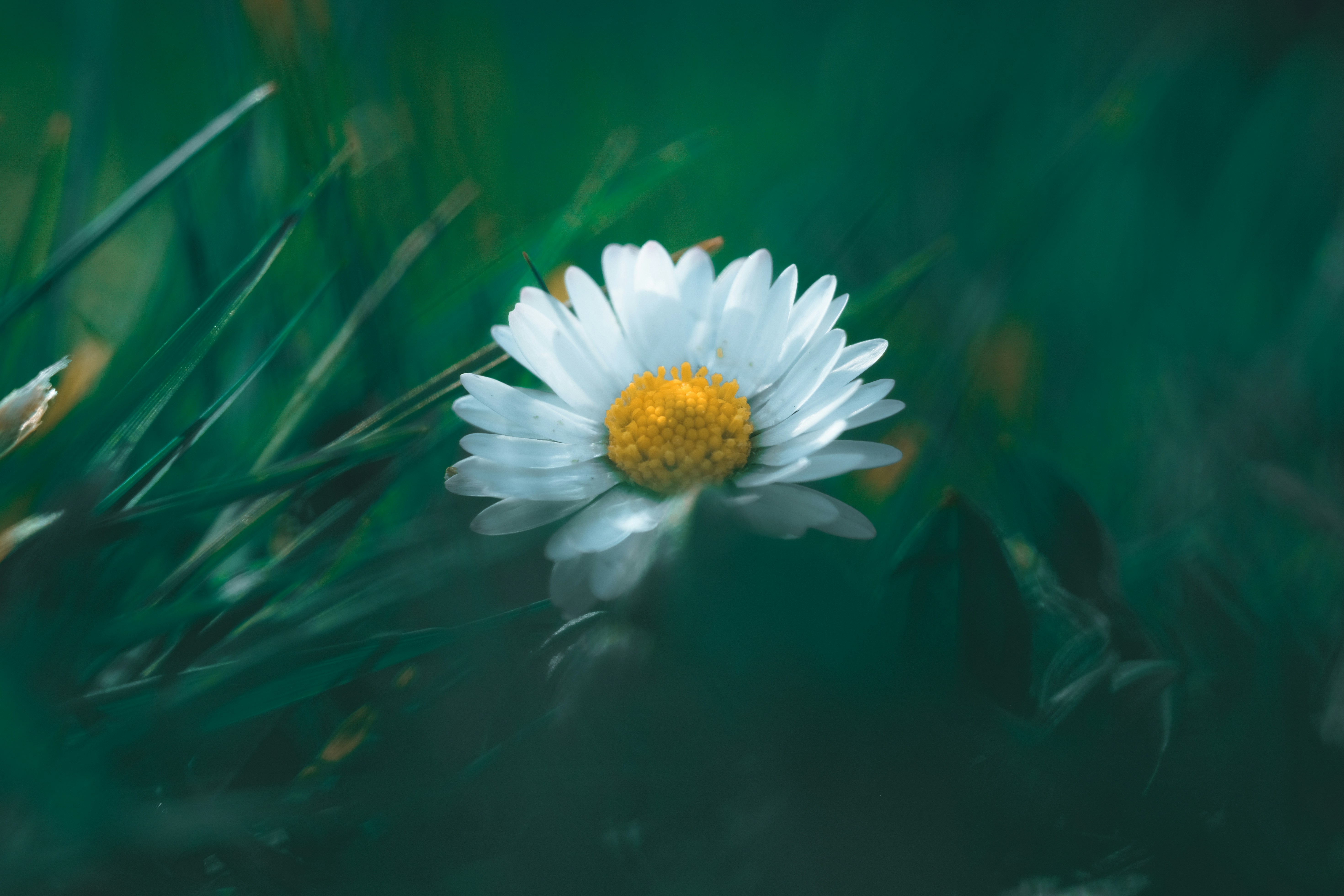 Photo by kevinmueller