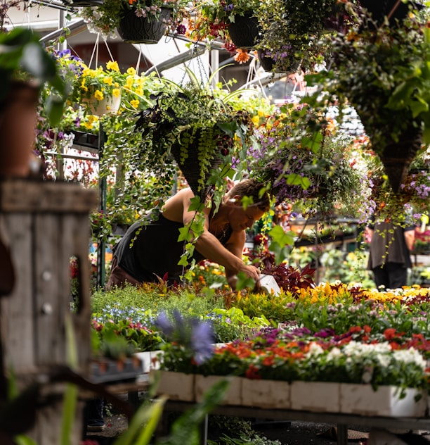 Manisa'da peyzaj bakımı yapan kadın. Ağaç ve çalı bakımı