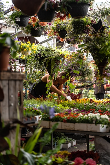 Manisa'da peyzaj bakımı yapan kadın. Ağaç ve çalı bakımı