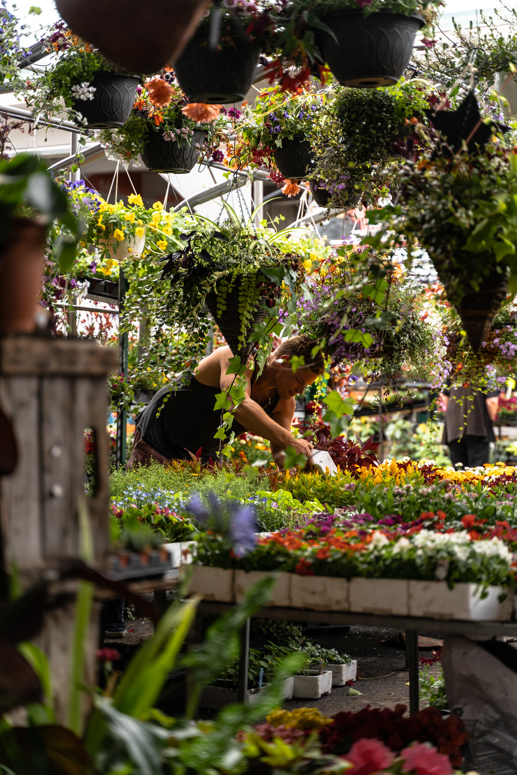 A flower stall and vendor at Jean-Talon Market in Montréal