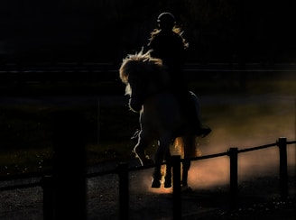 woman in black long sleeve shirt sitting on brown wooden fence beside white dog