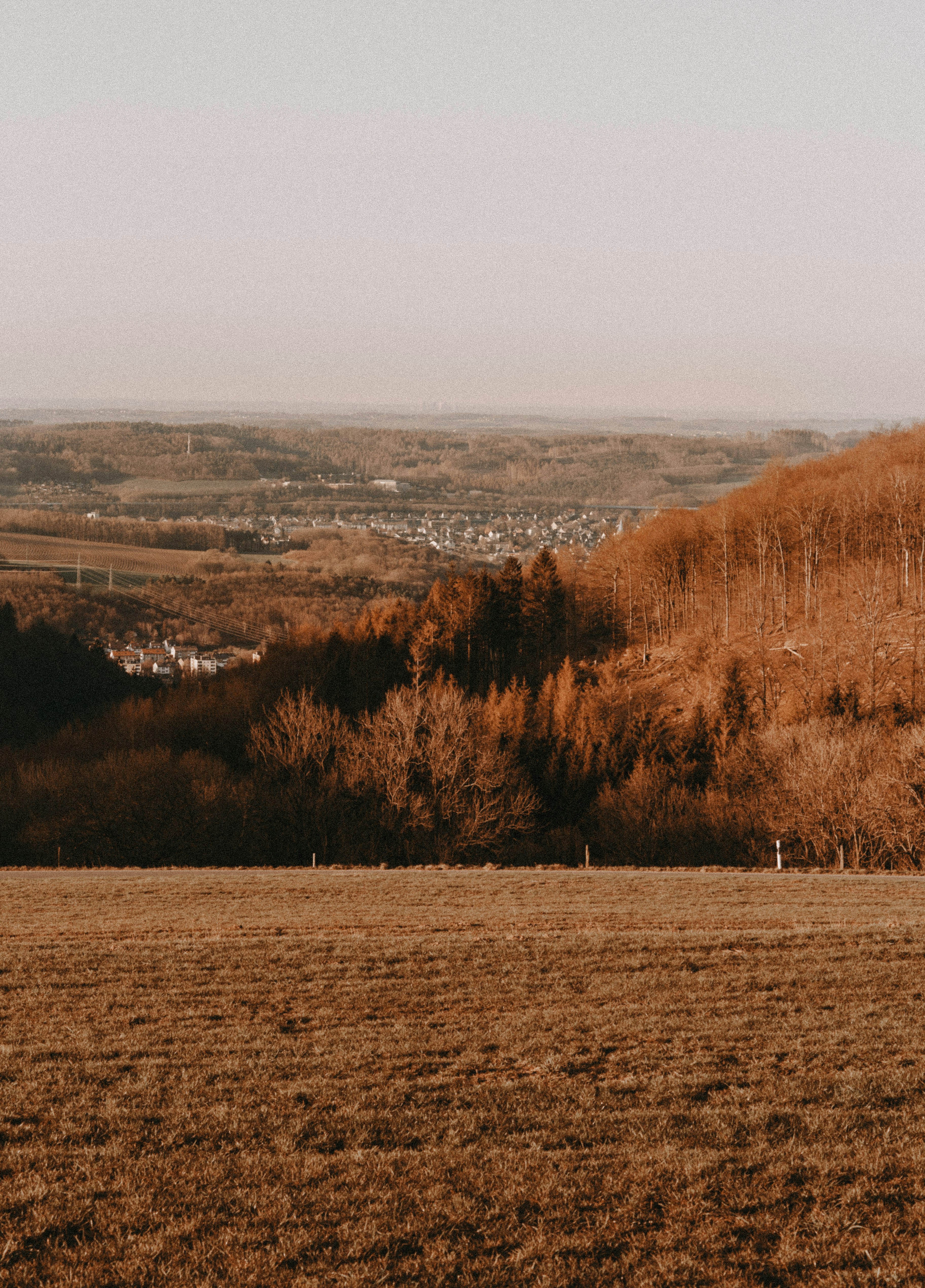 Photo by giorgiiremadze