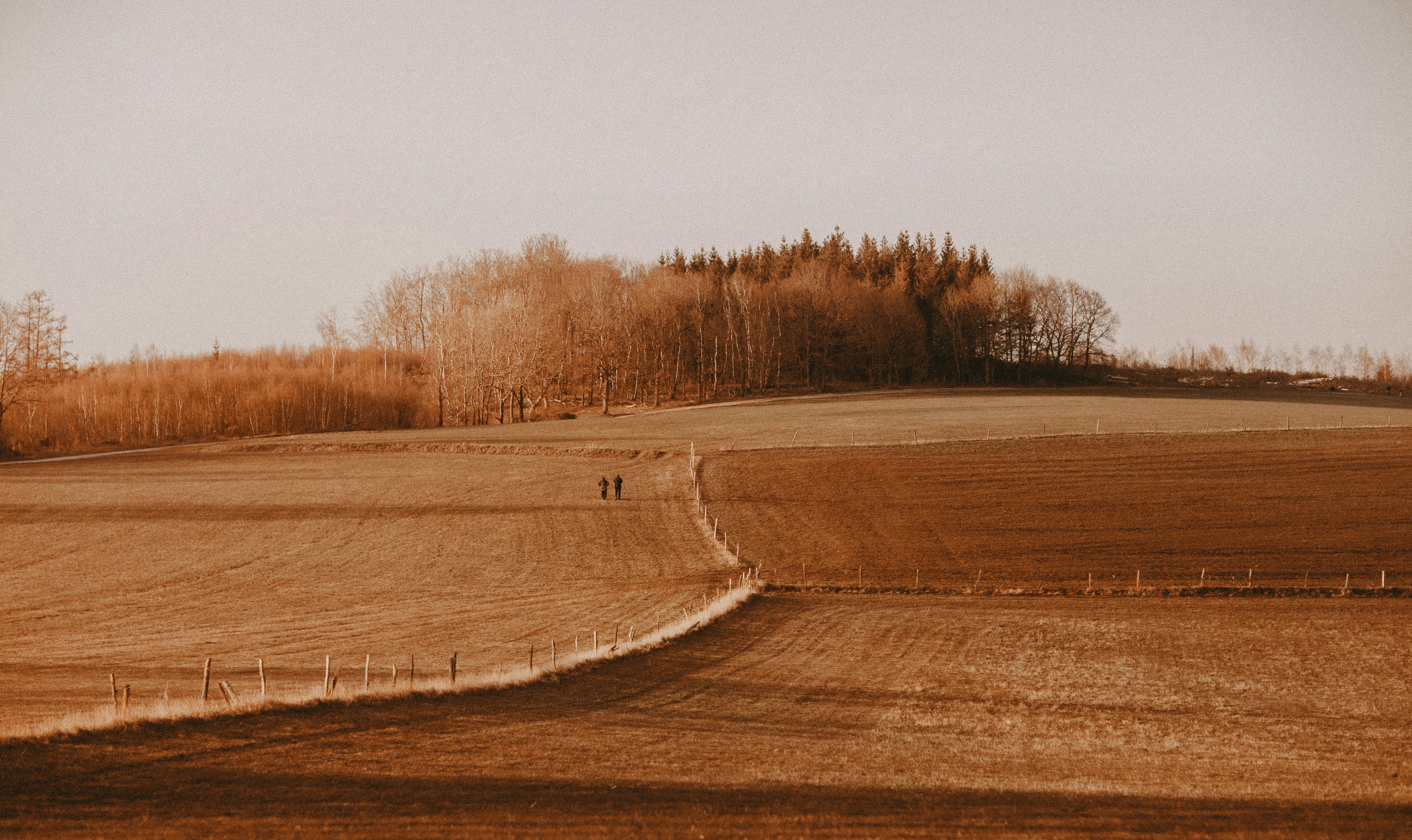 Photo by giorgiiremadze