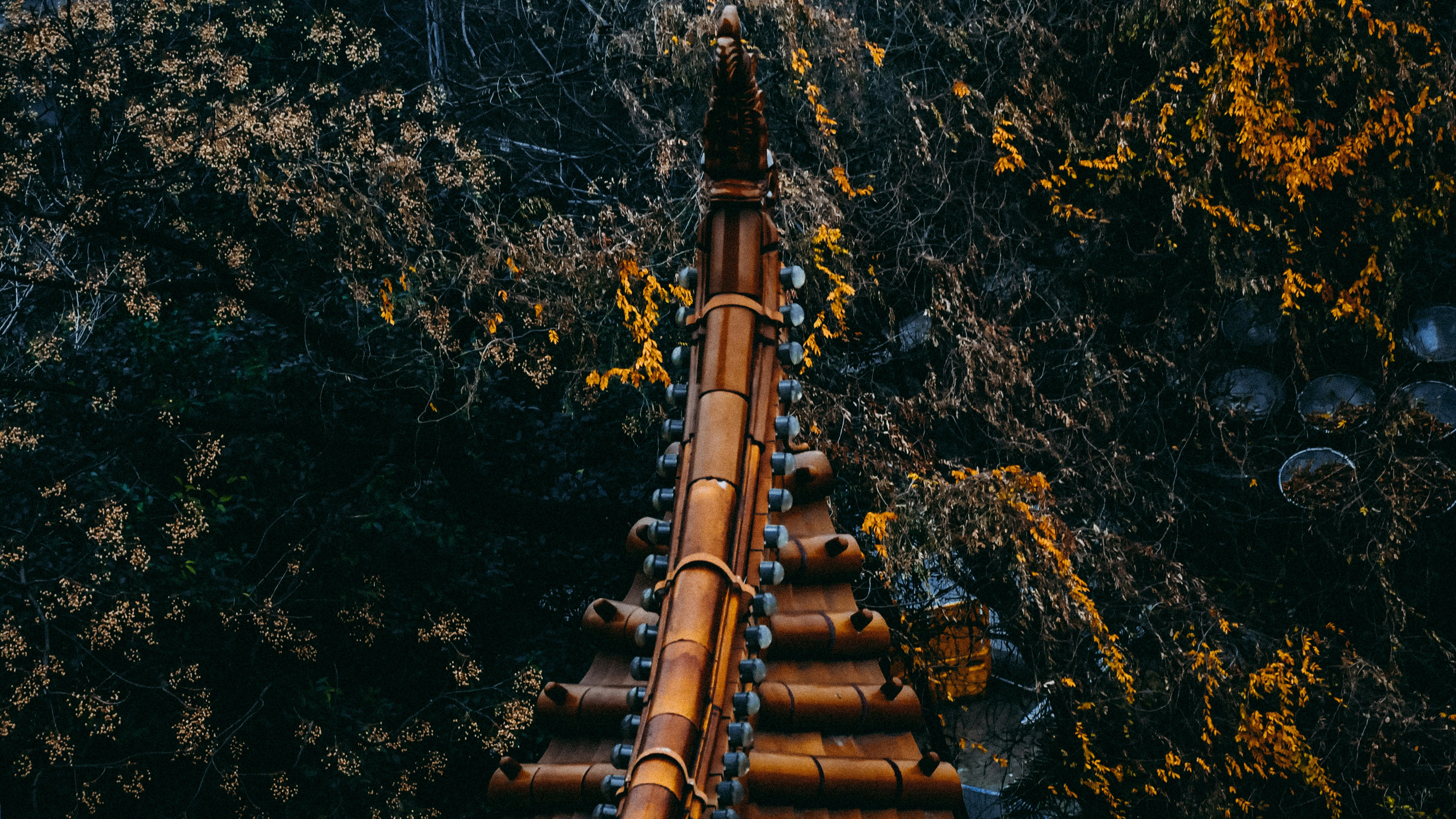 brown wooden roof near green trees during daytime