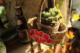 A woven basket hangs with an intricate embroidered flower design on the front. Inside the basket sits a small pot containing a vibrant succulent plant. The scene is warmly lit, casting soft shadows, and features a decorative bottle in the background.