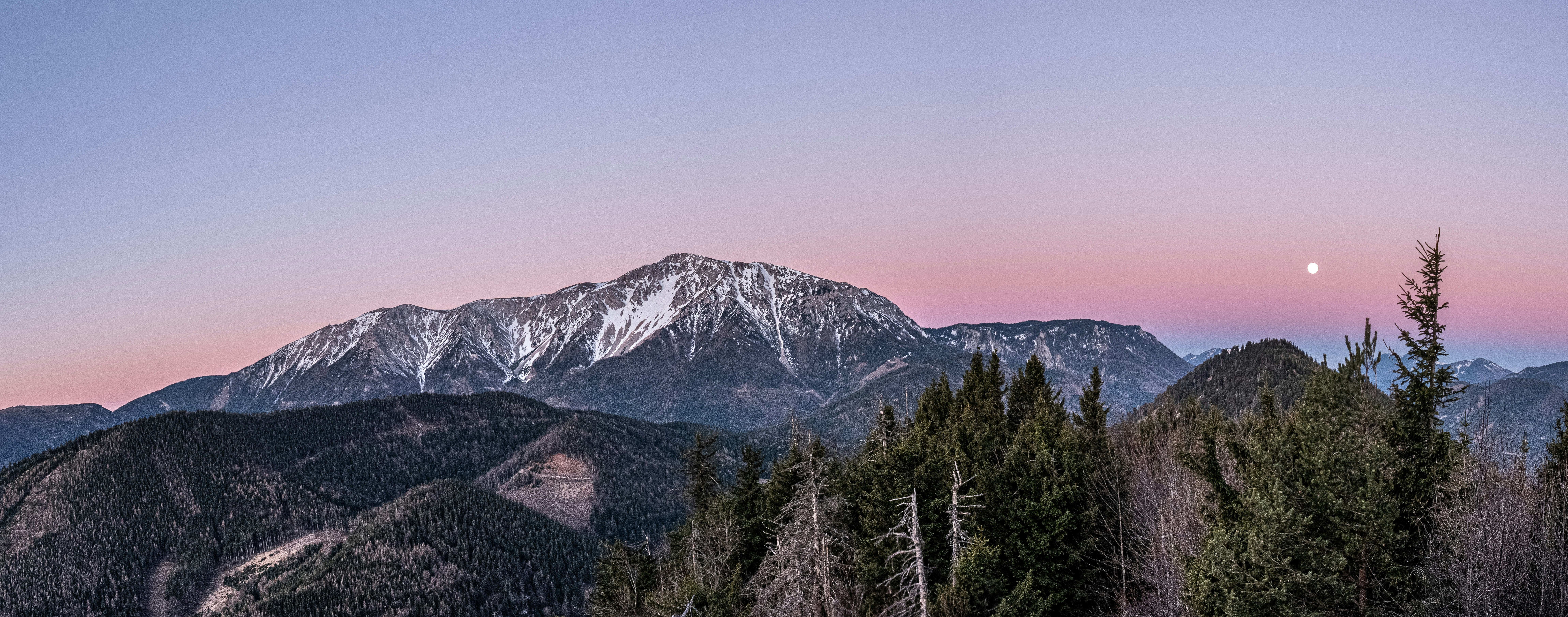 green pine trees near snow covered mountain during daytime