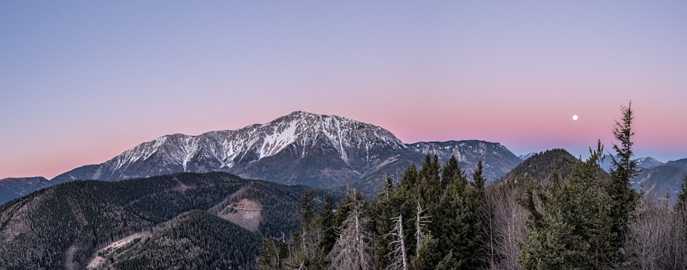 pini verdi vicino alla montagna innevata durante il giorno