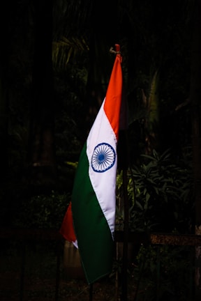 An Indian flag is seen standing upright against a backdrop of dark foliage. The flag displays its distinct tricolor of saffron, white, and green with the Ashoka Chakra in the center.