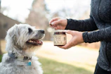 A happy dog enjoying a premium treat outdoors with a bright blue sky background.