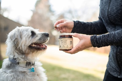 A person holding a jar of dog chews is offering a treat to a happy, fluffy dog who looks eagerly at the hand. The setting appears to be outdoors with a blurred background.