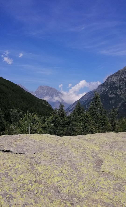 green trees on mountain under blue sky during daytime in Turin Italy