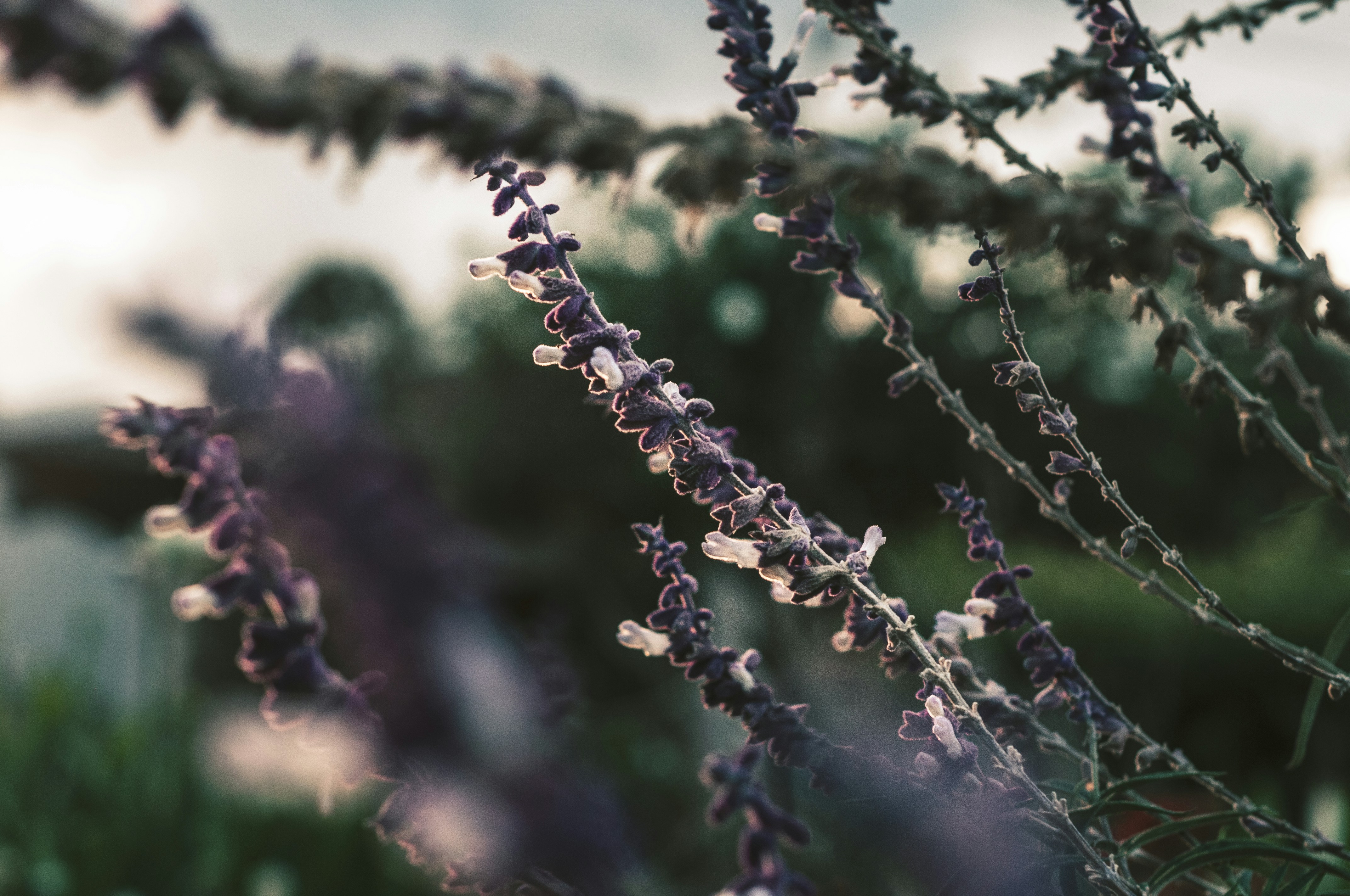 Photo by alexthehills