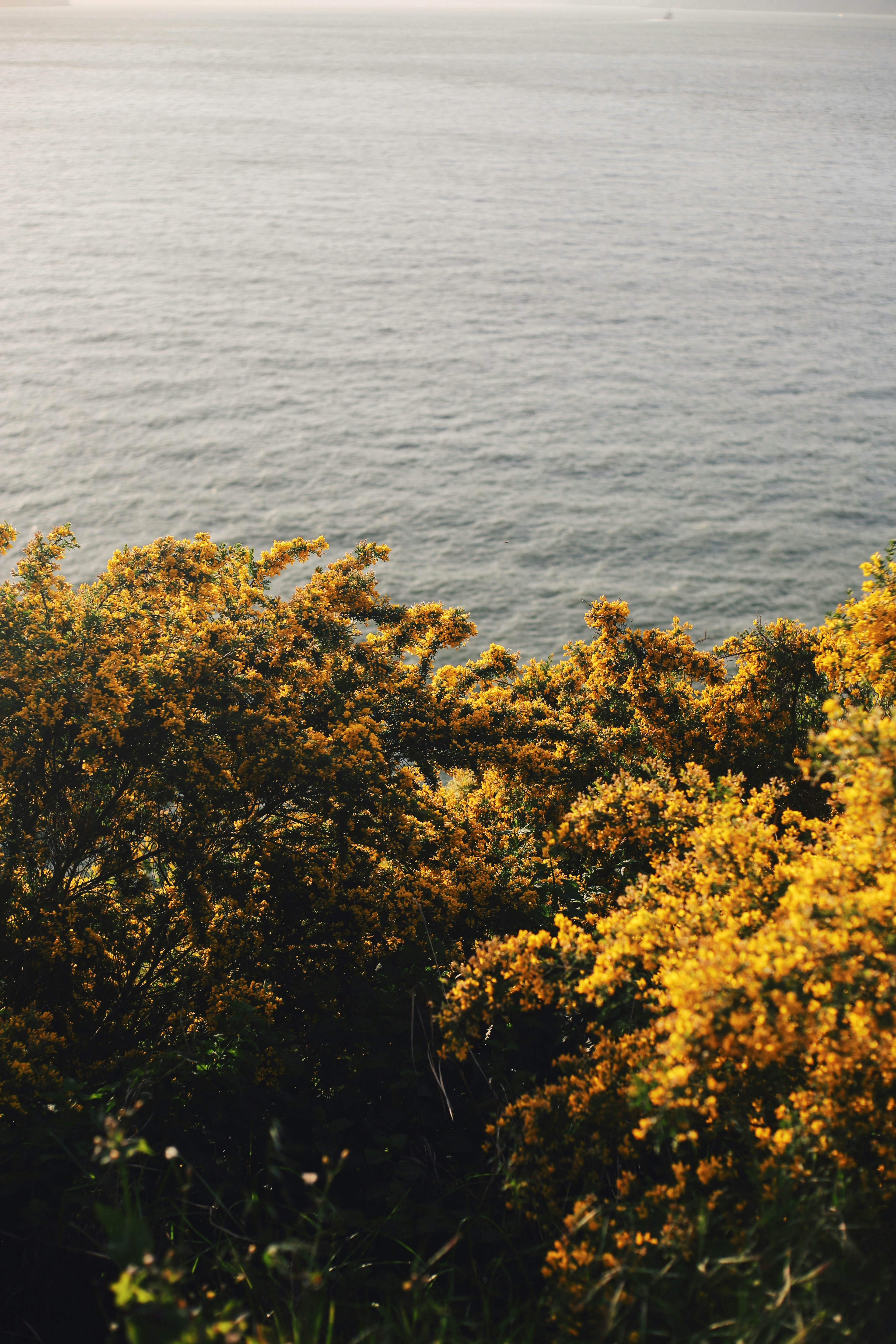 Photo by giorgiotrovato