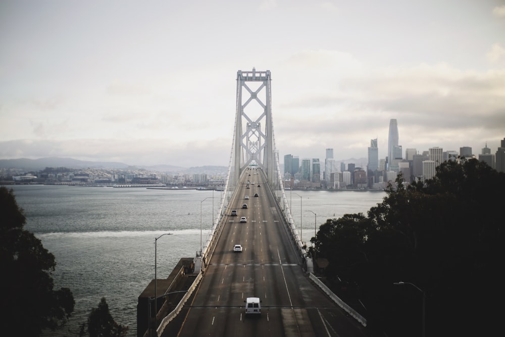 cars on road near bridge during daytime