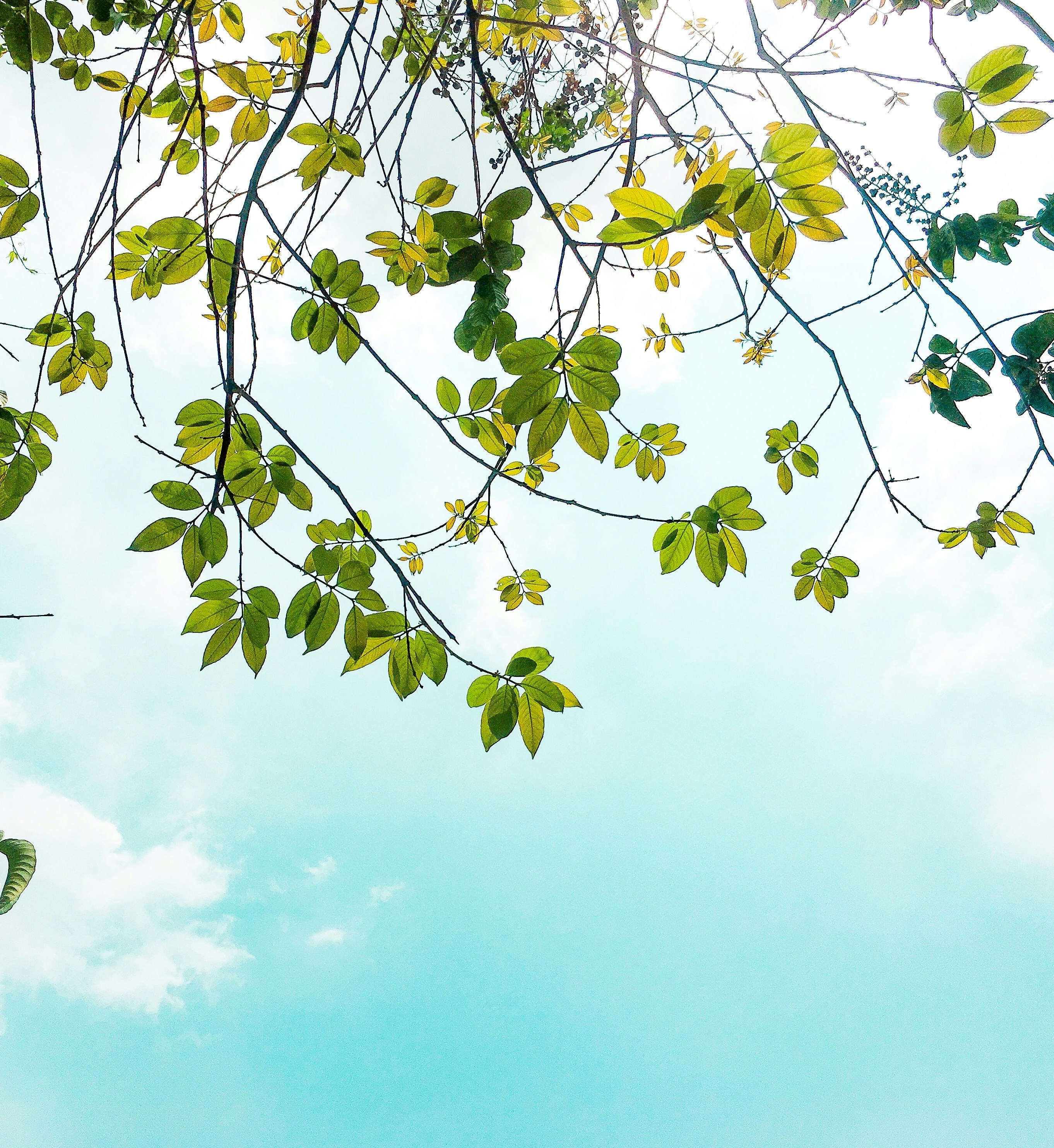 Photo by chongchongmathuat