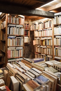 A cozy room with rescued dogs resting near shelves filled with books and mushrooms growing in the shadows.
