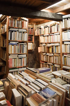 A cozy nook filled with vintage books and soft, warm lighting, evoking a magical cottage atmosphere.