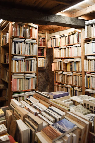 A cozy, warmly lit room with wooden shelves filled with colorful books and plants.