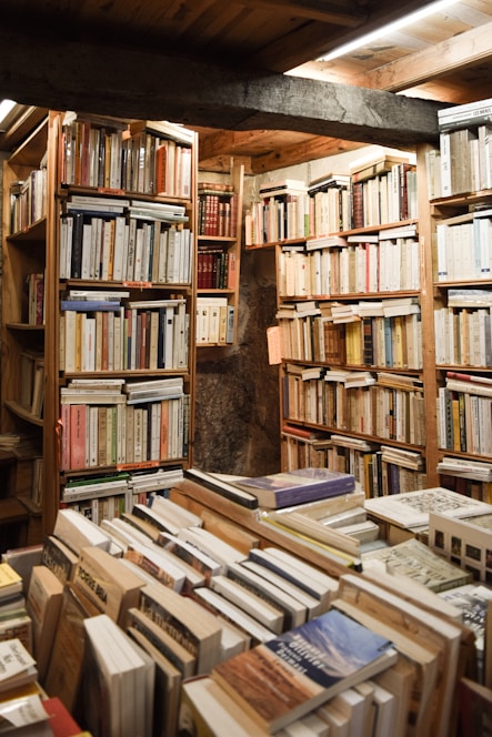 A cozy room with rescued dogs resting near shelves filled with books and mushrooms growing in the shadows.
